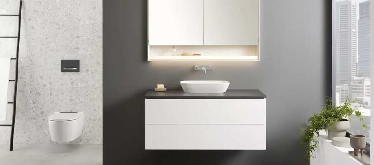 Vanity, Sink & Toilet Installation